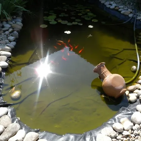 Janko Vendégház 3*